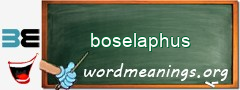 WordMeaning blackboard for boselaphus